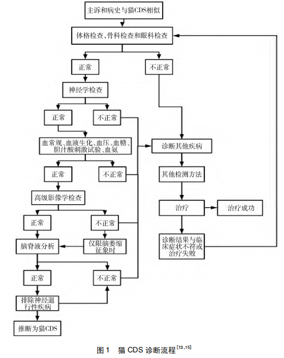 貓認知障礙綜合征的營養(yǎng)管理研究進展